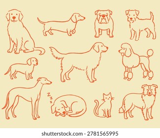 Dog breeds set doodle hand drawn.