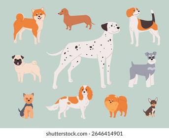 Dog breeds set in flat cartoon style. Cute vector illustration of adult purebred dogs of different colors and sizes. Cheerful and happy pets for print or web