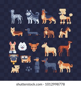 Dog breeds set. Flat pixel art 80s style icons. Stickers and embroidery design. Game assets. Logo design template for pet shops, mobile applications. Isolated vector illustration. 