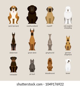 Dog Breeds Set, Giant And Large Size, 
Front View, Vector Illustration