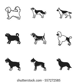 Dog breeds set icons in black style. Big collection of dog breeds vector symbol stock illustration