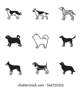 Dog breeds set icons in black style. Big collection of dog breeds vector symbol stock illustration