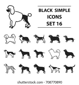 Dog breeds set icons in black style. Big collection dog breeds vector symbol stock illustration