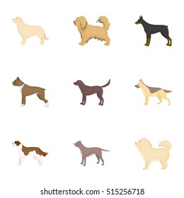 Dog breeds set icons in cartoon style. Big collection of dog breeds vector symbol stock illustration