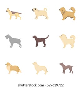 Dog breeds set icons in cartoon style. Big collection of dog breeds vector symbol stock illustration
