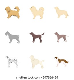 Dog breeds set icons in cartoon style. Big collection of dog breeds vector symbol stock illustration