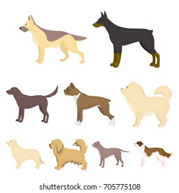 Dog breeds set icons in cartoon style. Big collection of dog breeds vector symbol stock illustration