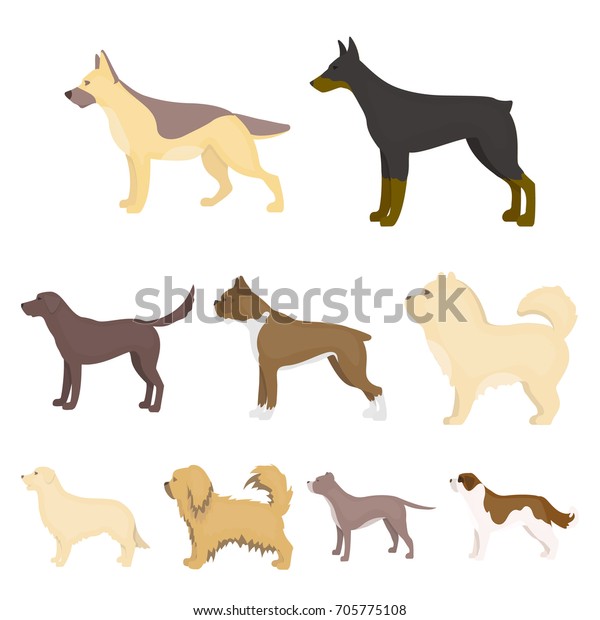 Dog Breeds Set Icons Cartoon Style Stock Vector (Royalty Free ...