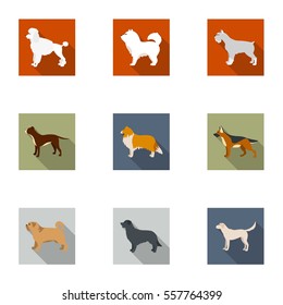 Dog breeds set icons in flat style. Big collection of dog breeds vector symbol stock illustration