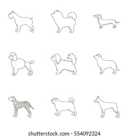 Dog breeds set icons in outline style. Big collection of dog breeds vector symbol stock illustration