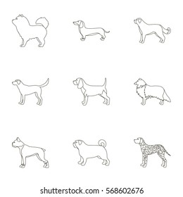 Dog breeds set icons in outline style. Big collection of dog breeds vector symbol stock illustration