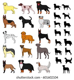 dog breeds set isolated on white with silhouette