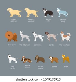 Dog Breeds Set, Large and Medium Size, Side View, Facing Front, Vector Illustration