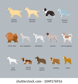 Dogs Breed Set Vector Flat Illustrations Stock Vector (Royalty Free ...