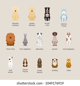 Dog Breeds Set, Large and Medium Size, Front View, Vector Illustration