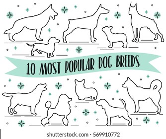 Dog breeds set in line art style on white background. Dogs icons. Dog breeds silhouette. Popular dog breeds card, banner, poster, background design. 