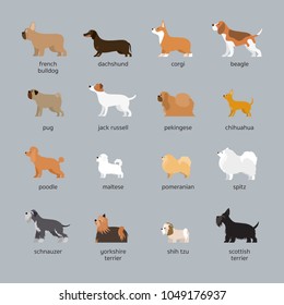 Dog Breeds Set, Small and Medium Size, Side View, Vector Illustration