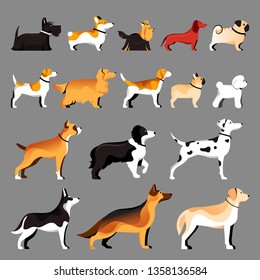 Dog breeds set. Vector flat illustration. Pets icons collection.