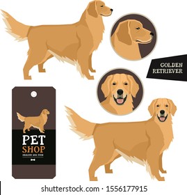 Dog Breeds set Vector illustration Golden Retriever Isolated objects set