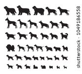 Dog Breeds, Silhouette Set, Side View, Vector Illustration