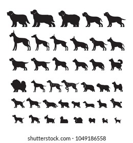 Dog Breeds, Silhouette Set, Side View, Vector Illustration