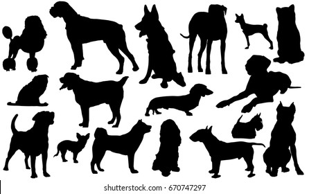 Dog Breeds. Silhouettes Of Dogs. Vector Illustration.