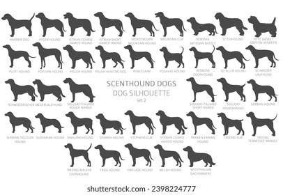 Dog breeds silhouettes with lettering, simple style clipart. Hunting dogs Scentounds, hounds collection.  Vector illustration