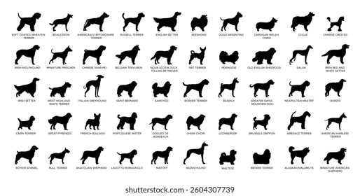 Dog breeds silhouettes set collection 2