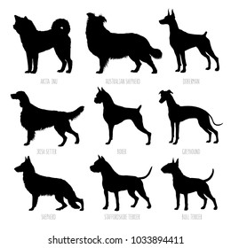 Dog breeds silhouettes set. High detailed, smooth vector illustration