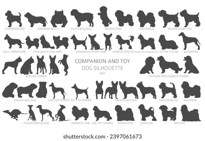 Siluetas de perros de raza simple, clipart. Colección de acompañantes y perros de juguete.  Ilustración del vector