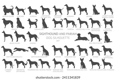 Dog breeds silhouettes simple style clipart. Hunting dogs Sightounds and pariah dogs collection.  Vector illustration