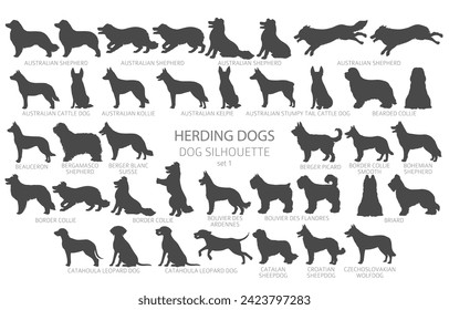 Dog breeds silhouettes simple style clipart. Herding dogs, sheepdog, shepherds collection.  Vector illustration