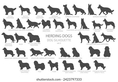 El perro engendra siluetas de estilo simple. Perros pastores, perro pastor, colección de pastores.  Ilustración del vector