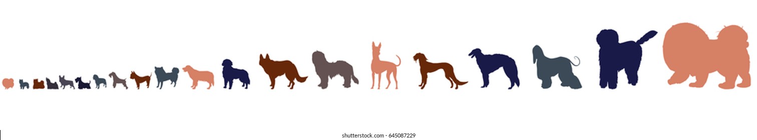 Dog breeds in size order isolated on white background. Twenty dog silhouettes from small to large.