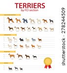 Dog breeds Terriers by FCO section