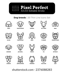 Dog breeds thin line icons set. Poodle, bull terrier, beagle, french bulldog, yorkshire terrier, dachshund, jack russell, pinscher, pug. Dog heads, front view. Editable stroke. Vector illustration.