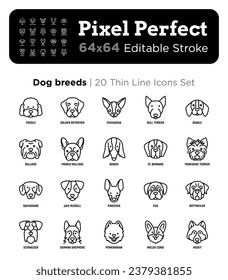 Dog breeds thin line icons set. Poodle, bull terrier, beagle, french bulldog, yorkshire terrier, dachshund, jack russell, pinscher, pug. Dog heads, front view. Editable stroke. Vector illustration.