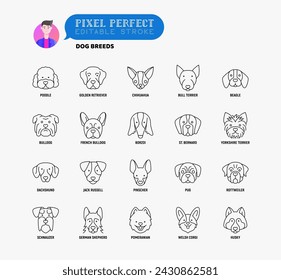 Dog breeds thin line icons set. Poodle, bull terrier, beagle, french bulldog, yorkshire terrier, dachshund, jack russell, pinscher, pug. Dog heads, front view. Editable stroke. Vector illustration.