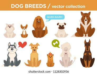 Dog breeds vector cartoon animals