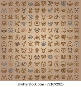 Dog breeds. Vector Collection