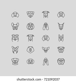 Dog breeds. Vector Collection