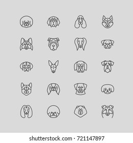 Dog breeds Vector Collection