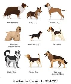 755 Fox Hound Stock Vectors, Images & Vector Art | Shutterstock