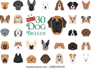 Dog breeds Vector Collection: Set 2. 30 different dog breeds in cartoon style.