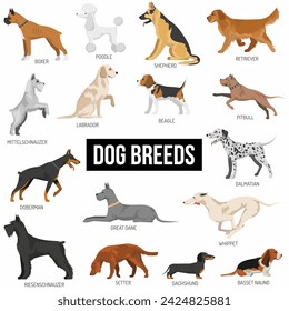 Dog breeds Vector Collection: Set of 16 different dog breeds in cartoon style.