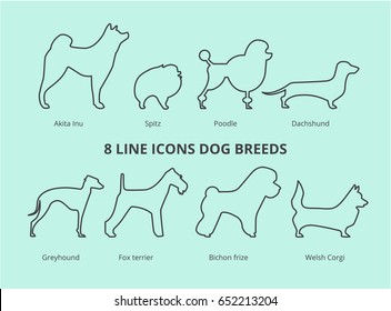 Dog Breeds Vector Collection: Set of 8 Different Dog Breeds in Outline Style. Popular Dogs Breeds, Card. Happy Animals Background. Silhouette Dogs. Akita Inu, Spitz, Poodle, Greyhound, Welsh Corgi.
