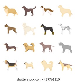 Dog breeds vector icon set in cartoon style for web design.