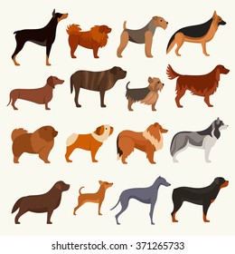 Dog breeds vector illustration