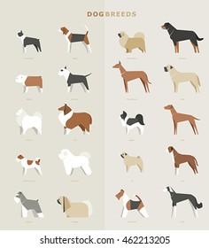 dog breeds vector illustration