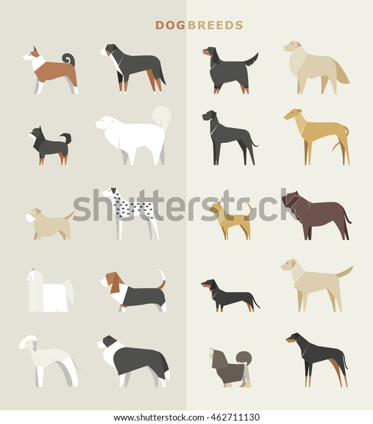 Dog Breeds Vector Illustration Stock Vector (Royalty Free) 462711130 ...